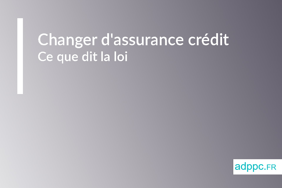 Changer d'assurance crédit : ce que dit la loi